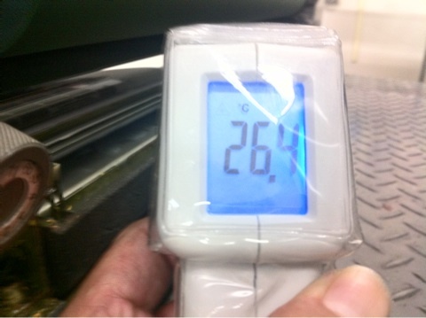 ぎゃーーー！！！