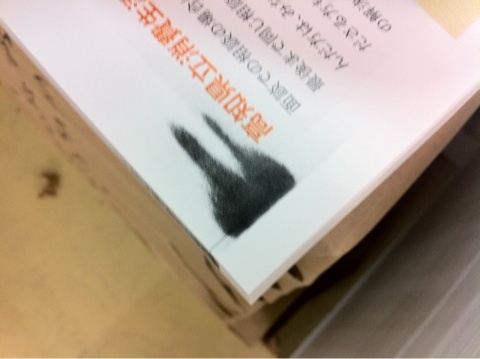 Ｄ．Ｉ．Ｊ．のインサツ！