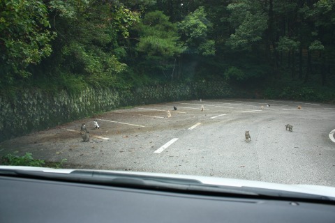 連休明けは、ちとしんど！