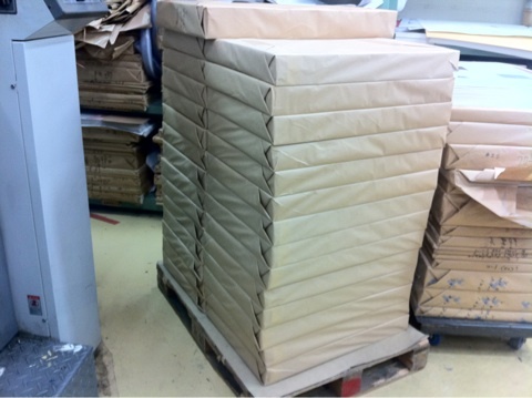 顔なし？落ち武者？