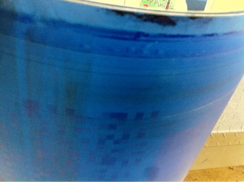 高知の朝は寒くて昼はポカポカ陽気！