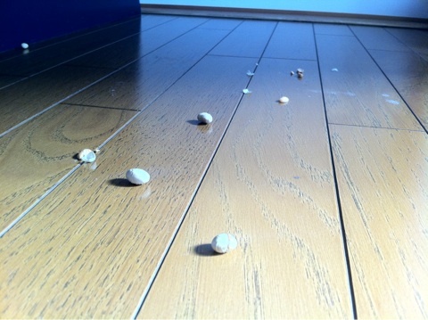 しかし、首が痛い。