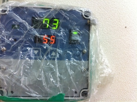 今日は湿度が高いね。